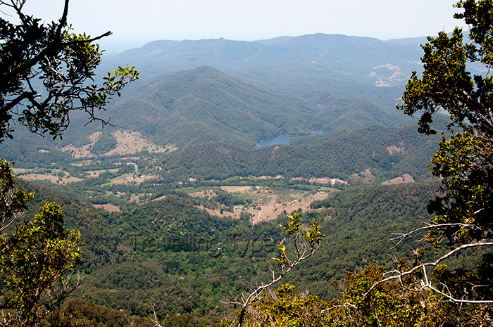 Mount Warning 