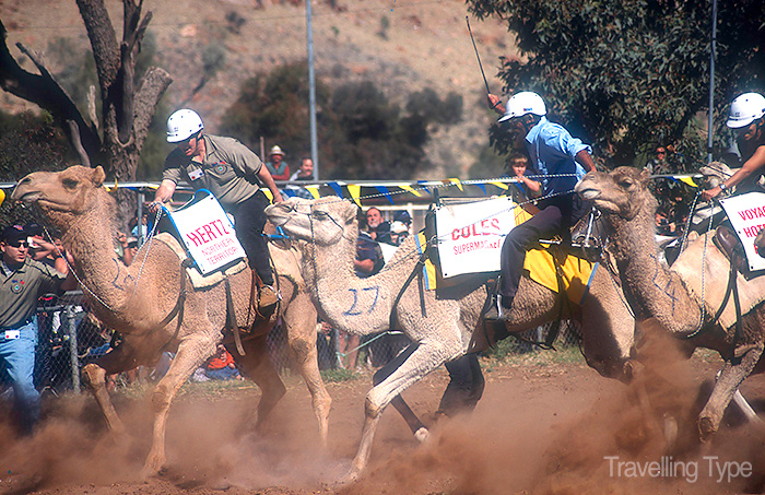 Alice Springs camel cup