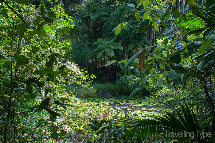 Rocky Creek Dam