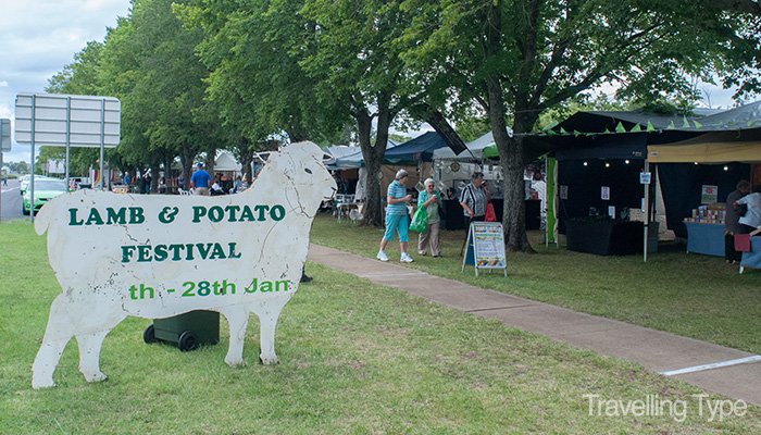 lamb & potato festival