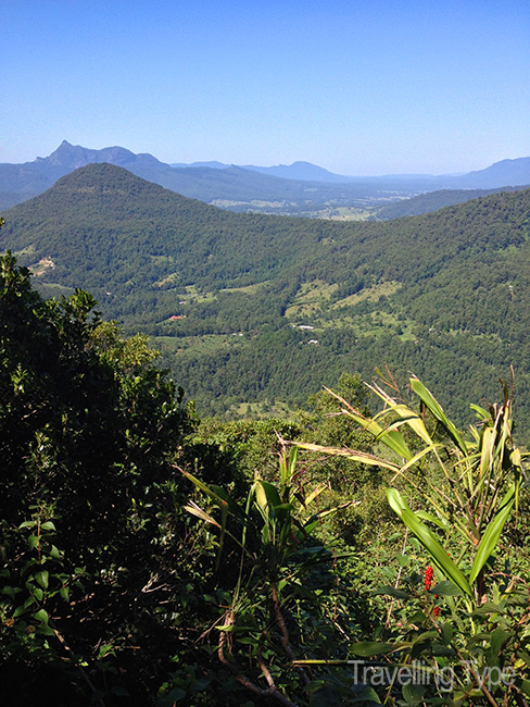 Gold Coast hinterland walks