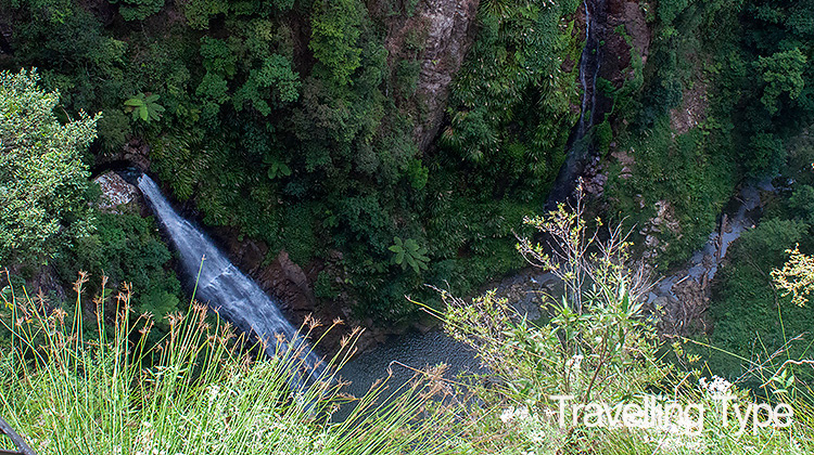 Binna Burra walks