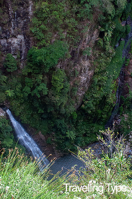 Binna Burra walks