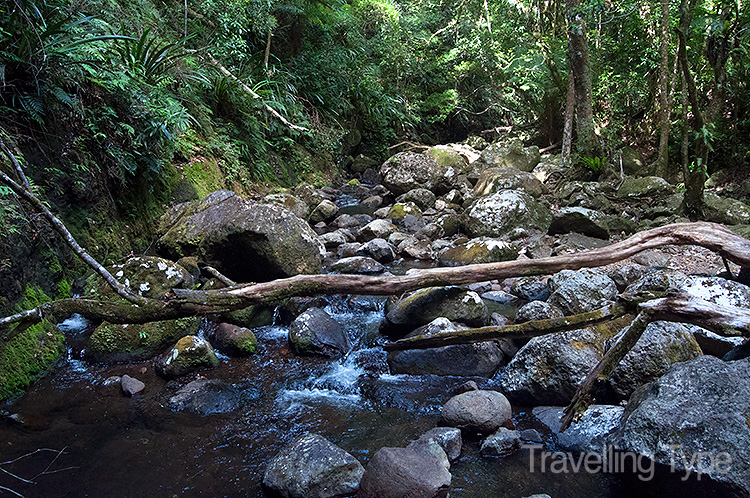 Binna Burra walks