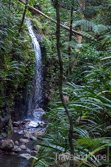 Binna Burra walks