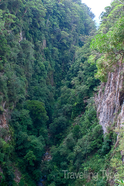 Binna Burra walks