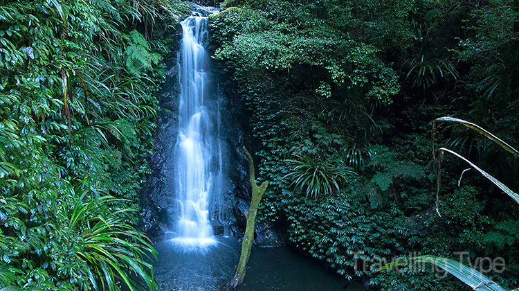 Lamington National Park