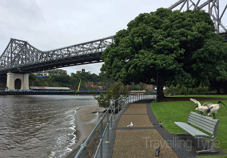 walks around Brisbane